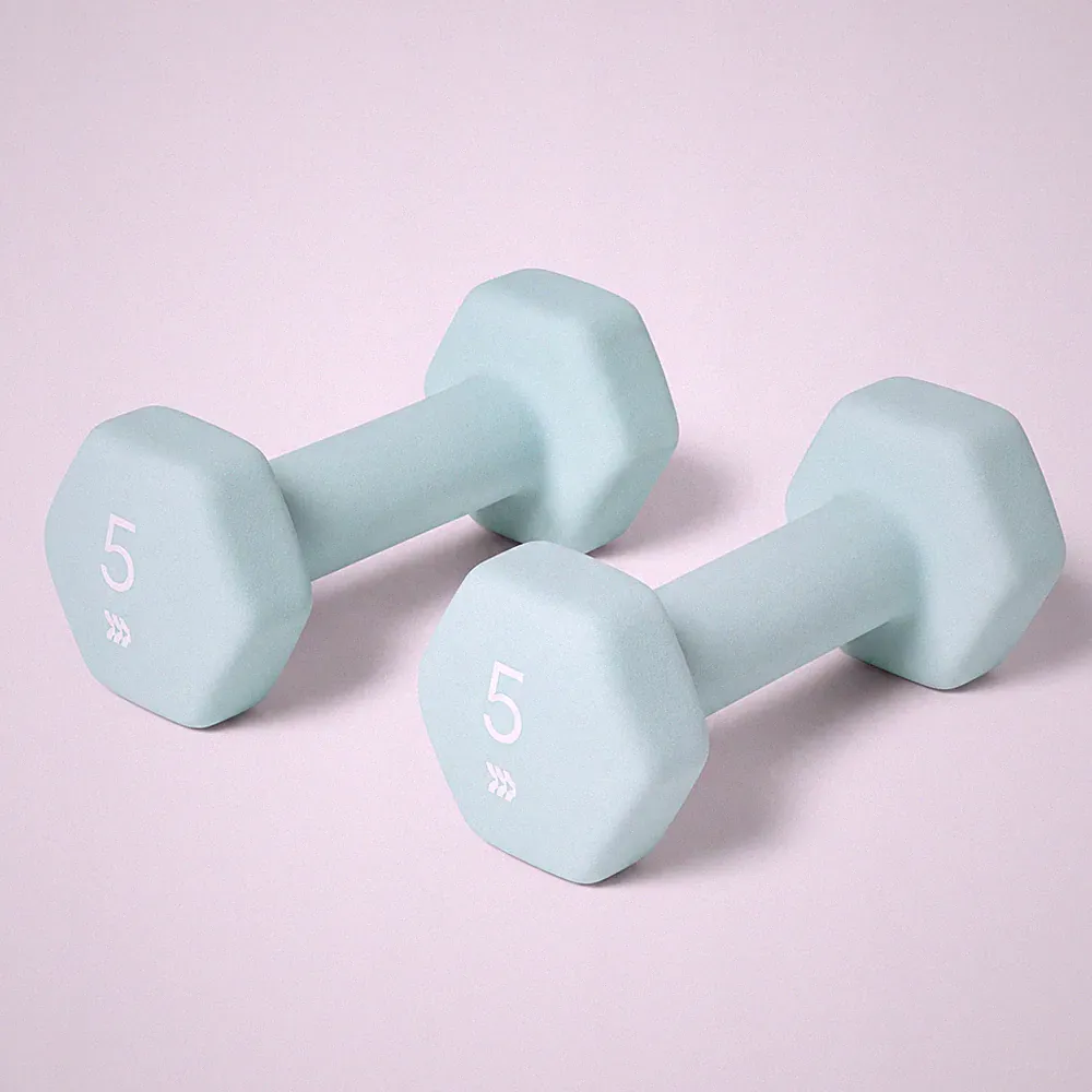 All In Motion 5 lb Dumbbell Set Aqua PVC Coated Iron Filled 2 Pack