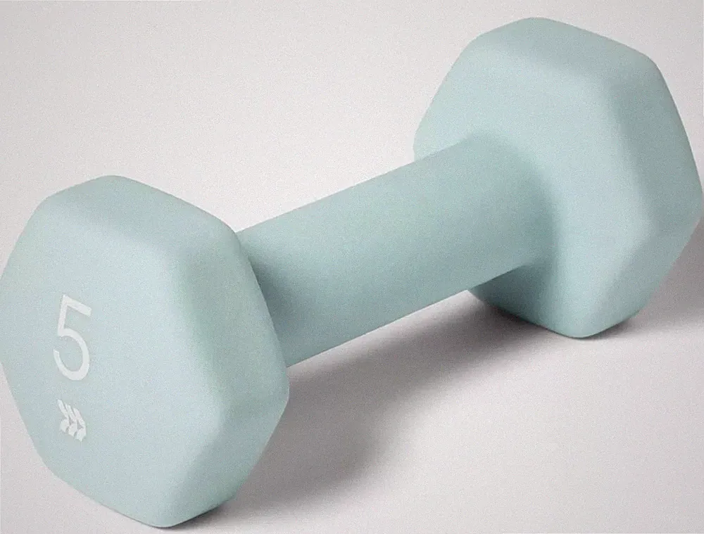 All In Motion - 5 LB Weights - Rubber Coated AIM Dumbbells - PAIR