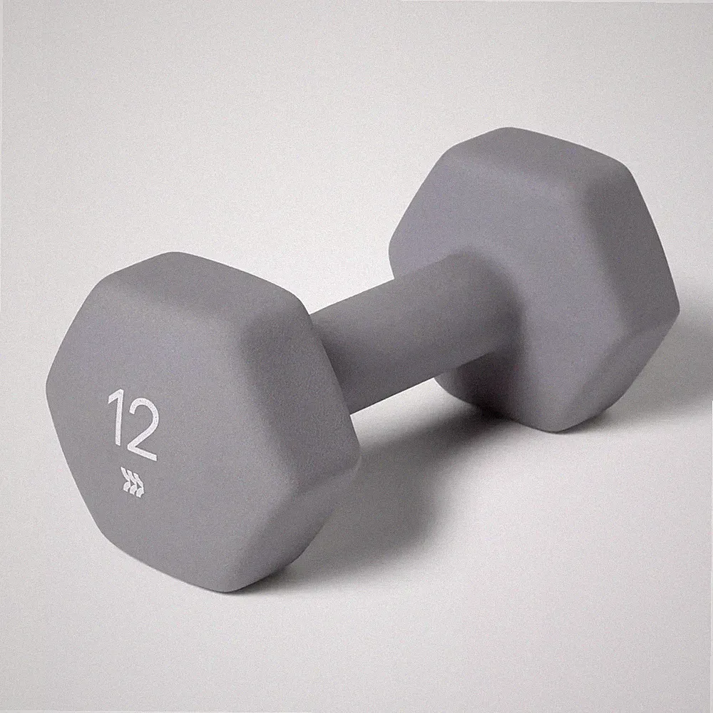 ALL IN MOTION DUMBBELL 12 LB HAND WEIGHT - GRAY