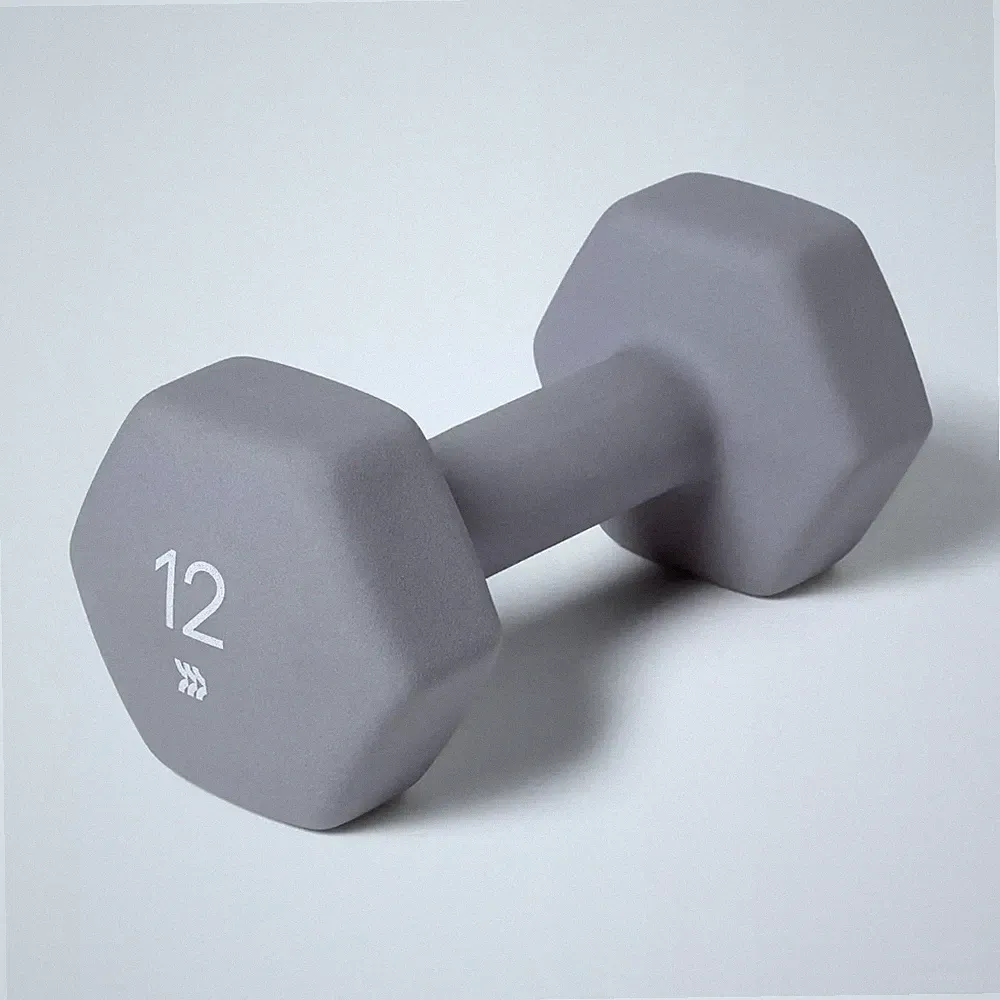 ALL IN MOTION DUMBBELL 12 LB HAND WEIGHT - GRAY