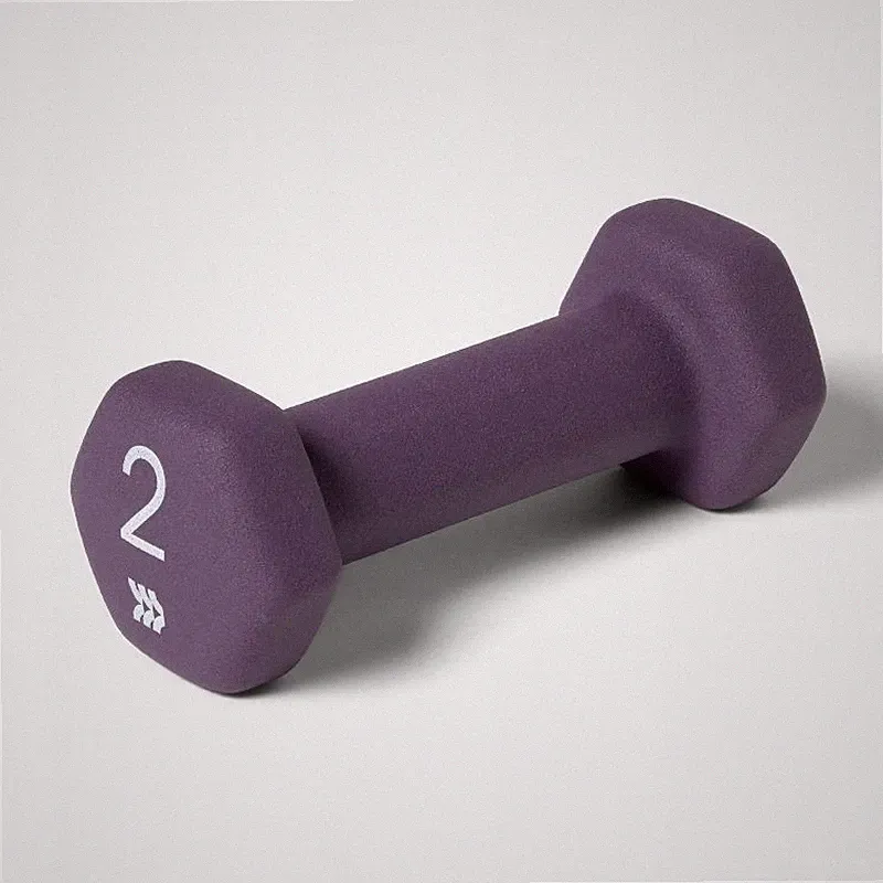 ALL IN MOTION DUMBBELL 2LBS - PVC COATED, IRON FILLED, SINGLE - Scratch & Dent
