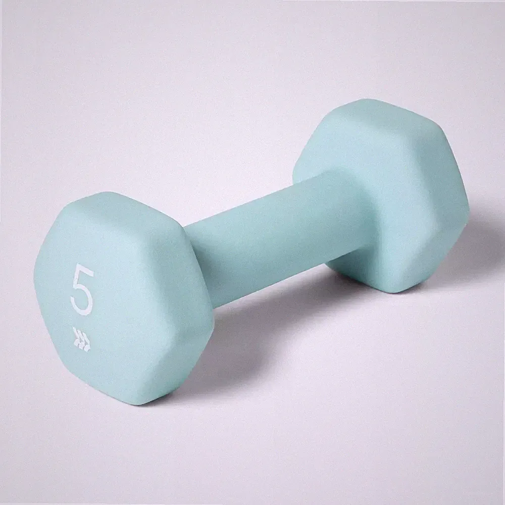 ALL IN MOTION DUMBBELL 5LBS PVC COATED, IRON FILLED, ARM - Scratch & Dent