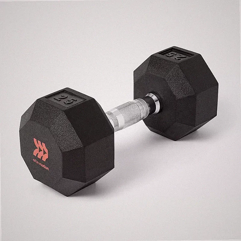 ALL IN MOTION HEX DUMBBELL 25LBS - BLACK/CHROME