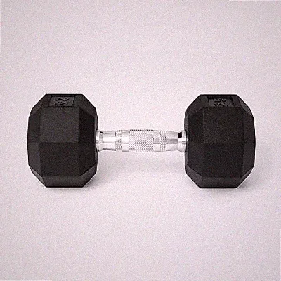 ALL IN MOTION HEX DUMBBELL 25LBS - BLACK/CHROME