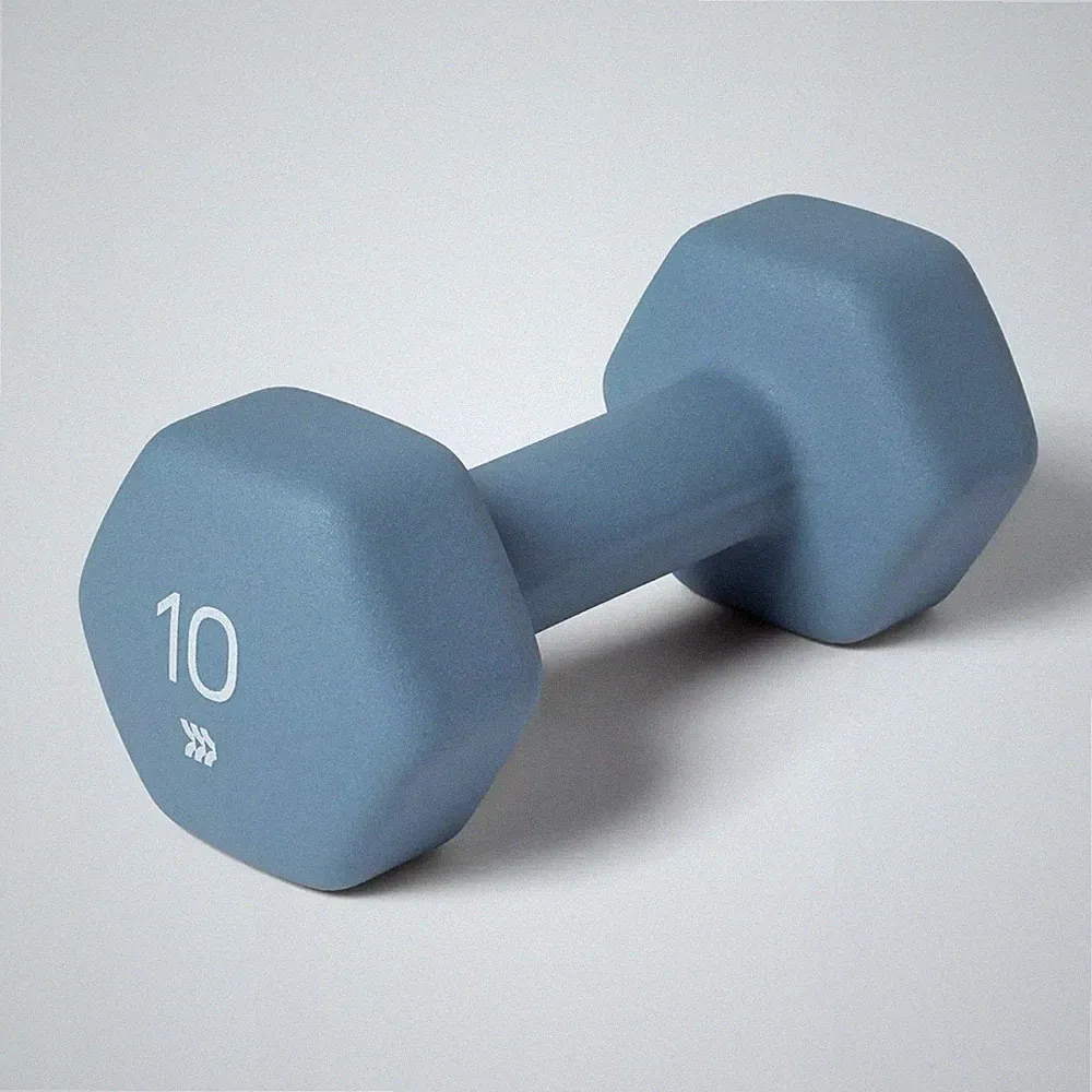 ALL IN MOTION SINGLE 10 LB HEX DUMBBELL - NEOPRENE GRAY