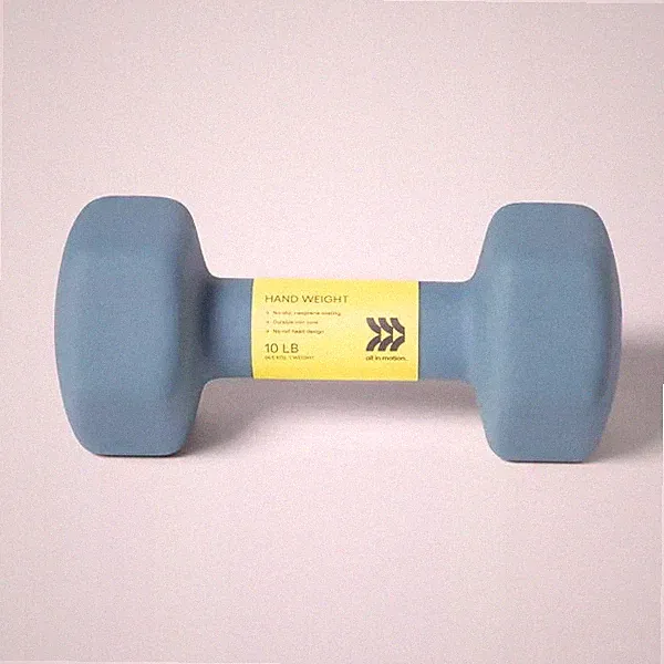 ALL IN MOTION SINGLE 10 LB HEX DUMBBELL - NEOPRENE GRAY