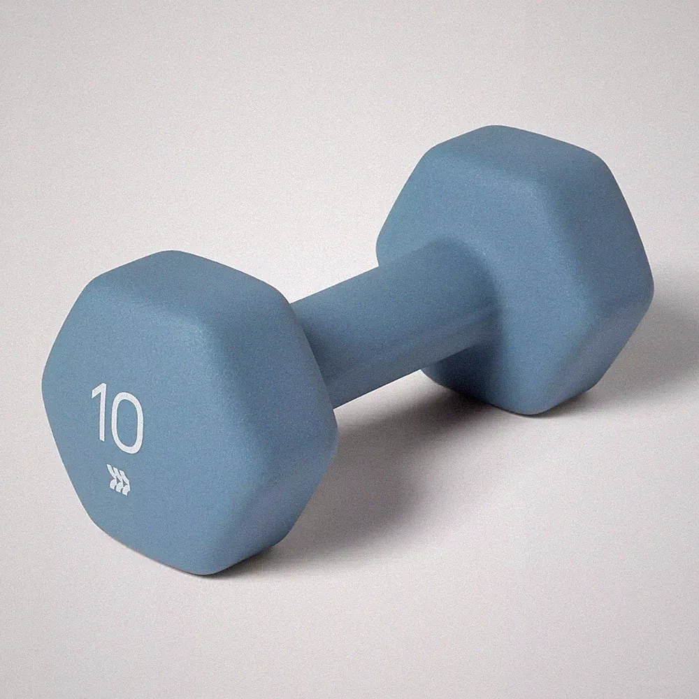 ALL IN MOTION SINGLE 10 LB HEX DUMBBELL - NEOPRENE GRAY - Scratch & Dent
