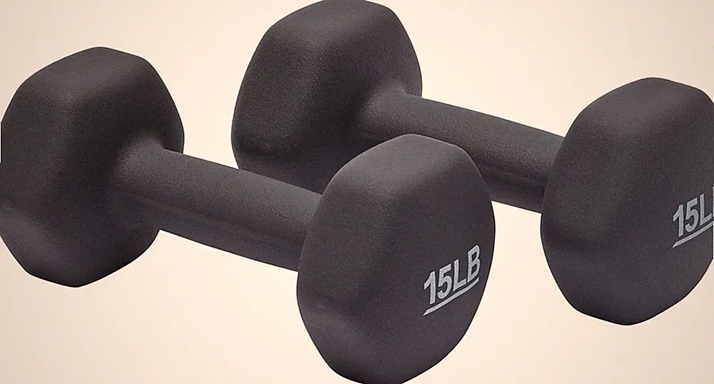 Amazon Basics Neoprene Dumbbells 15 lb Pair - Dark Grey