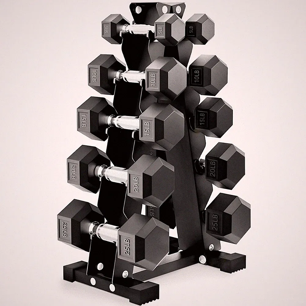 Balance From Dumbbell Set with Stand, Rubber Encased Home Gym Hand Weights