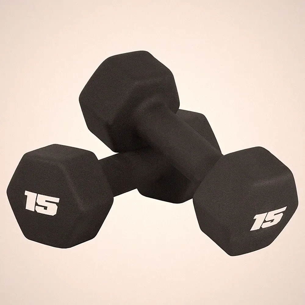 Barbell 15 LB Neoprene Dumbbell Hand Weights Pair | Black