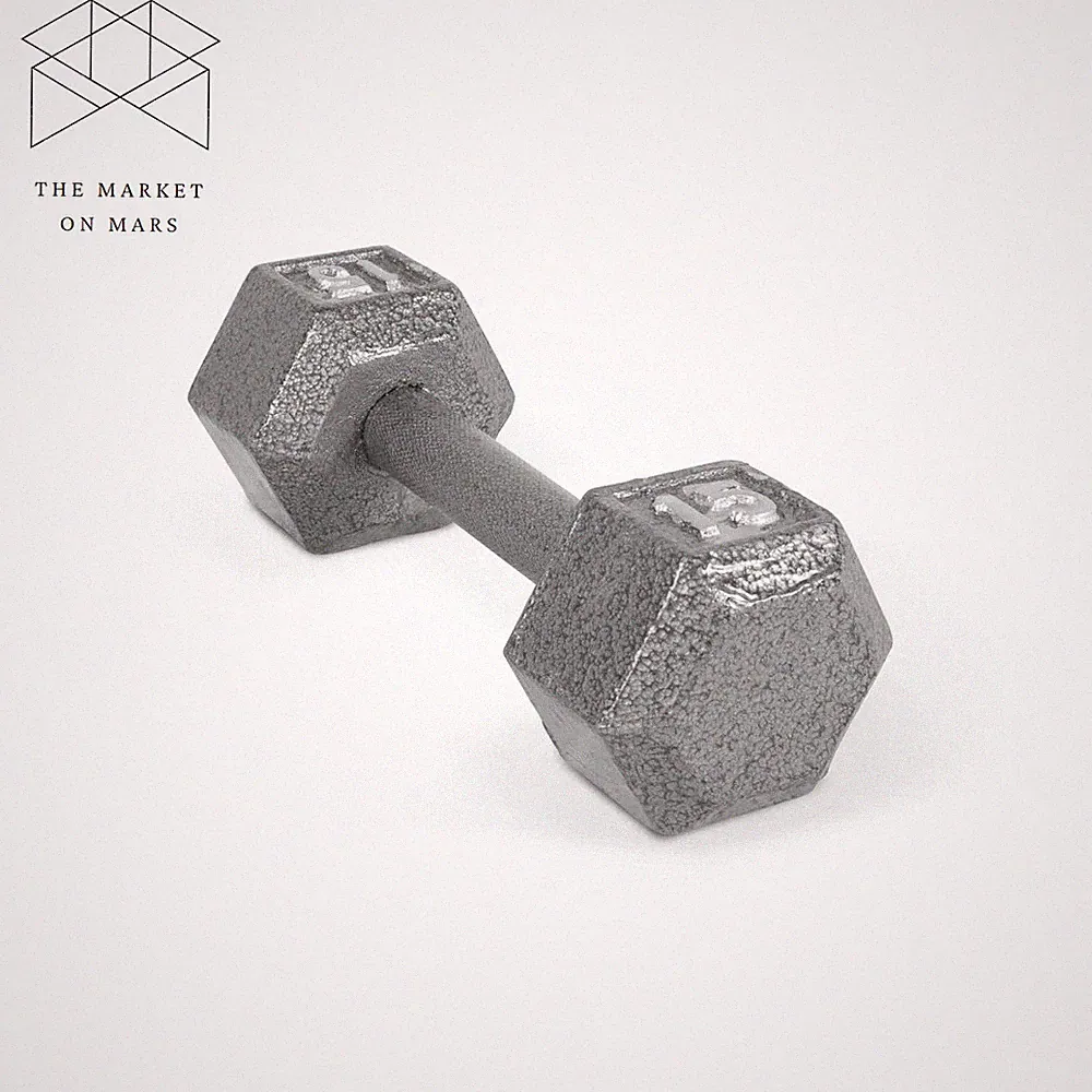 Barbell 15lb Cast Iron Hex Dumbbell, Perfect for Muscle Groups Full-body, Single
