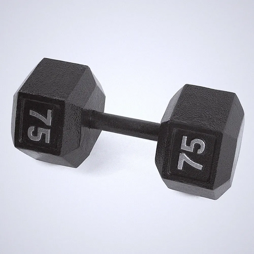 Barbell Cast Iron Hex Dumbbell, Black, Single, 75 lb