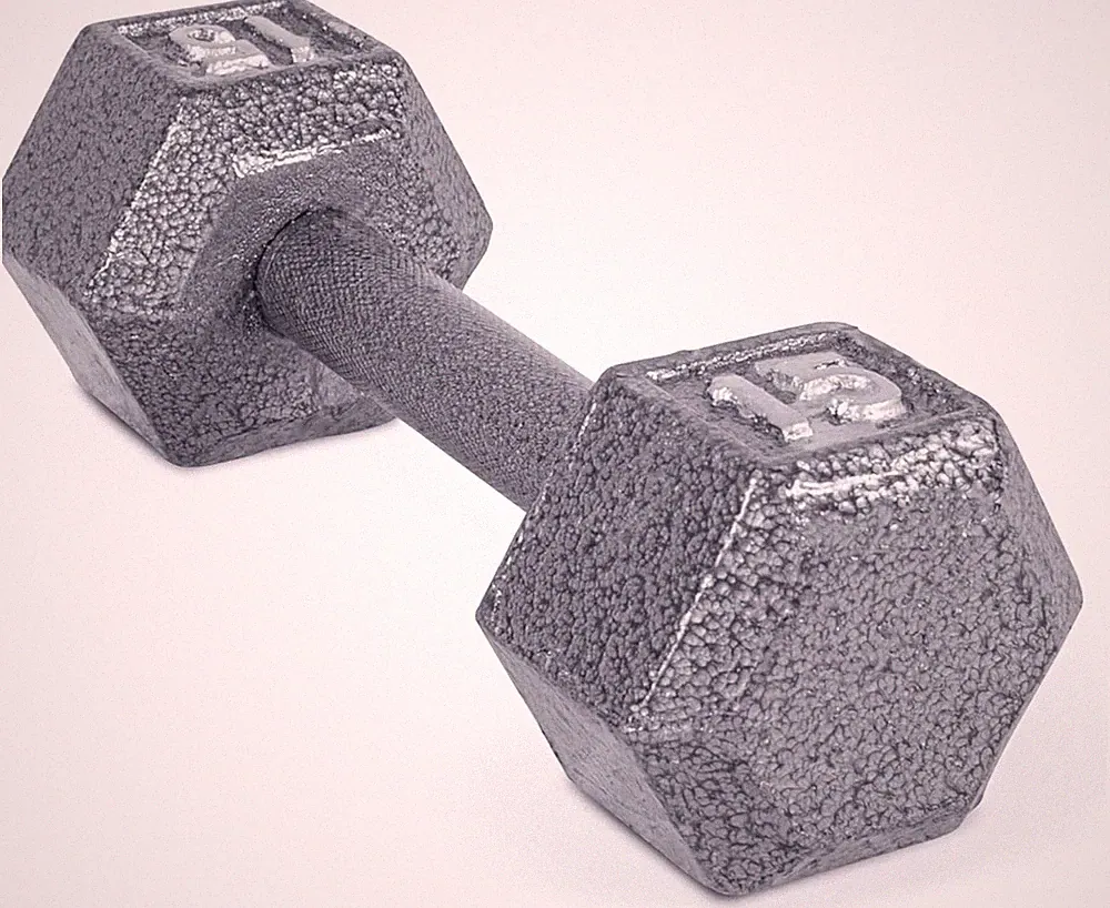 Barbell Cast Iron Hex Dumbbell | Multiple Options