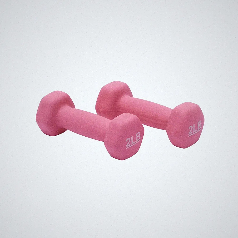 Basics Neoprene Coated Dumbbell Hand Weight Set 2 pound 4 lb Set of 2 Pink