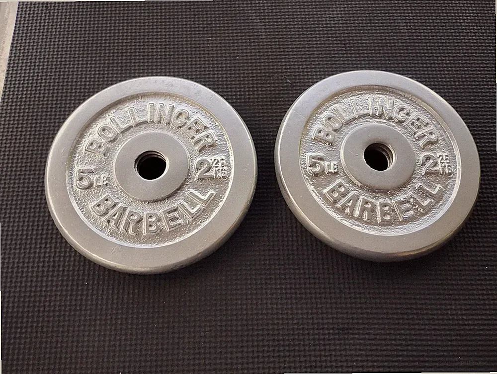Bollinger Barbell Threaded Dumbell Weights Set of 2 Plates 5 Lb 1.4kg PAINTED
