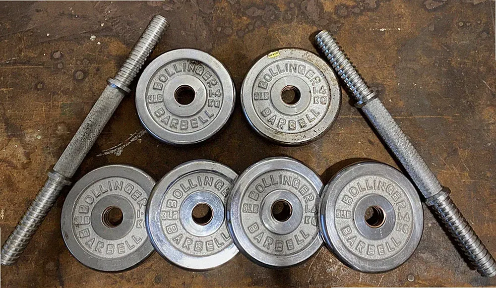 chrome dumbbell plates