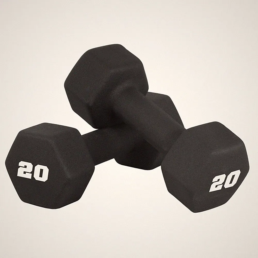 CAP 20 lb Pair Neoprene Hex Dumbbells Black Non-Slip Grip 40 lb Total