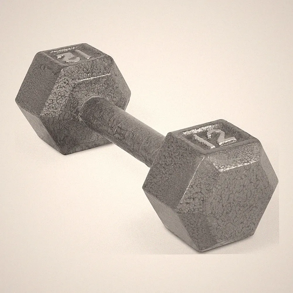 CAP Barbell 12lb Cast Iron Hex Dumbbell, Single