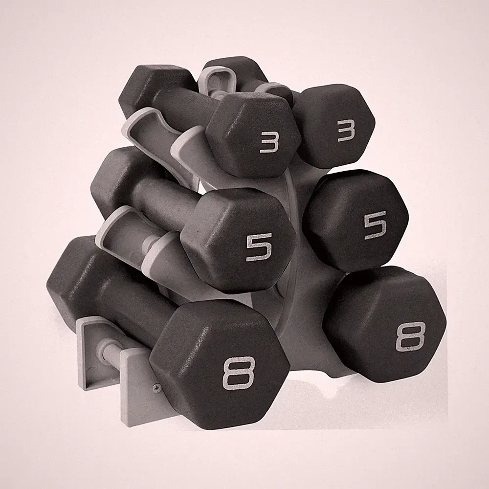 CAP Barbell 32Lb Neoprene Dumbbell Set with Rack – Black Fitness Weights