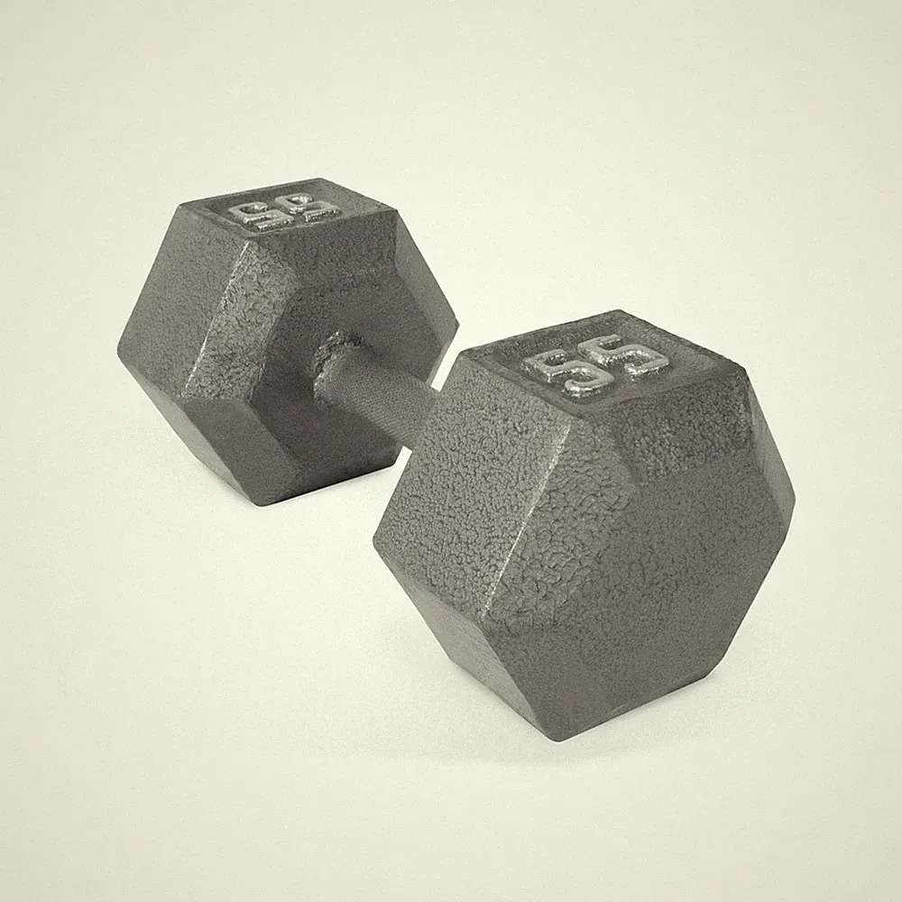 CAP Barbell 55lb Cast Iron Hex Dumbbell, Single