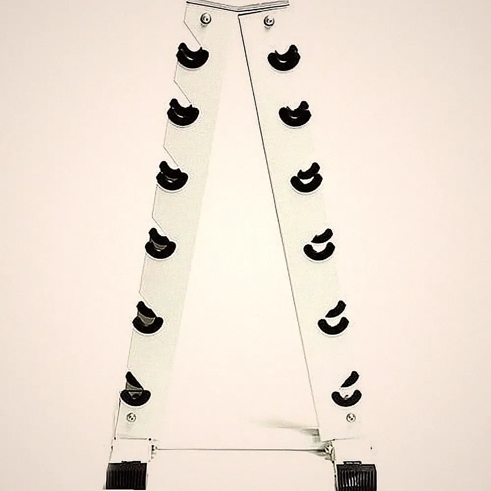CAP Barbell Vertical A-Frame Dumbbell Rack