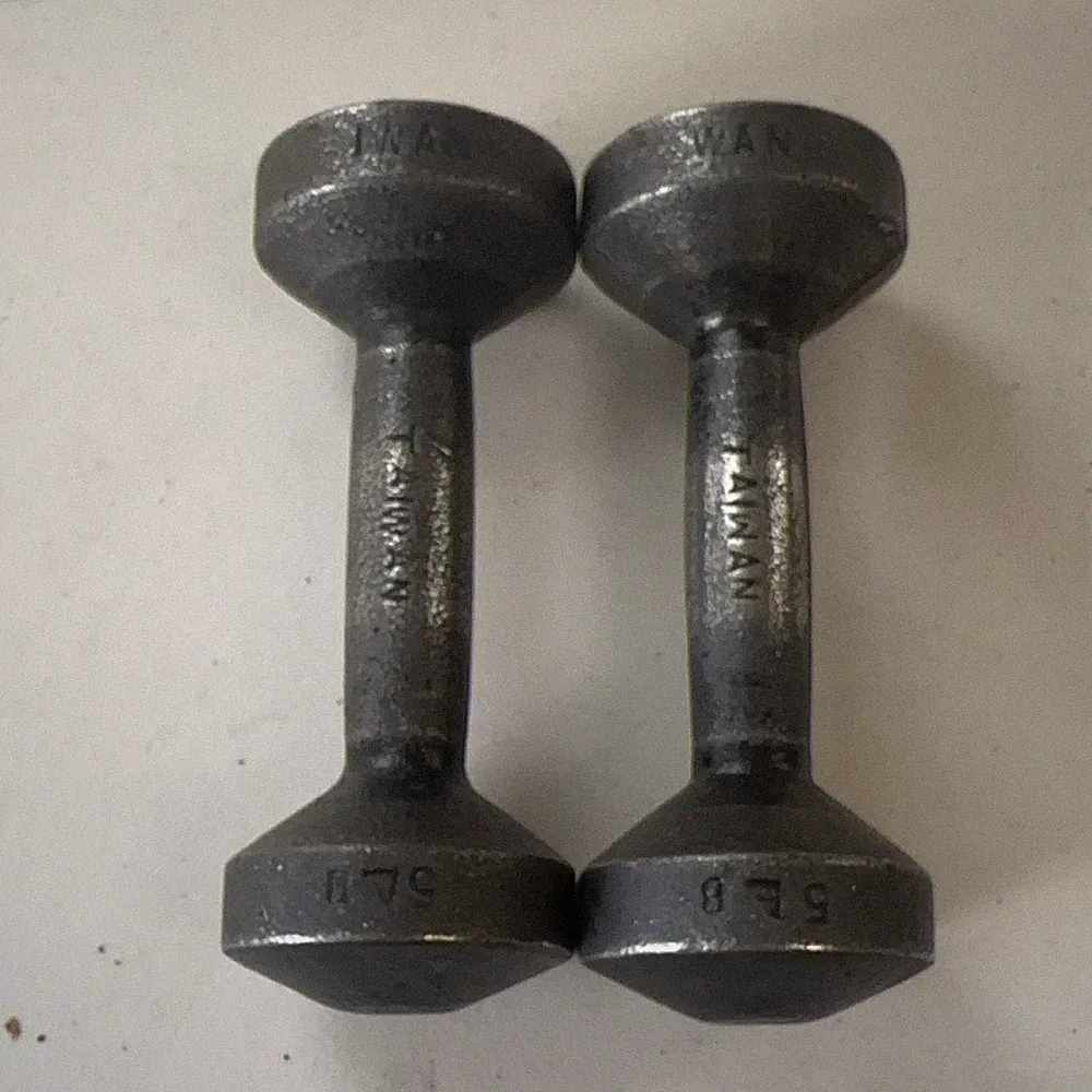 Cast Iron Dumbbells 5 lb Grey Embossed Weight 10lb total Vintage
