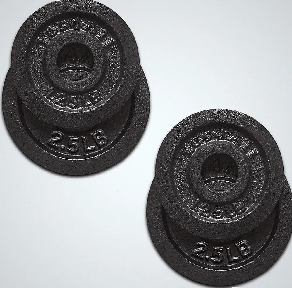 Cast Iron Weight Plates 1.15" Standard Dumbbell Plates Strength Training Set