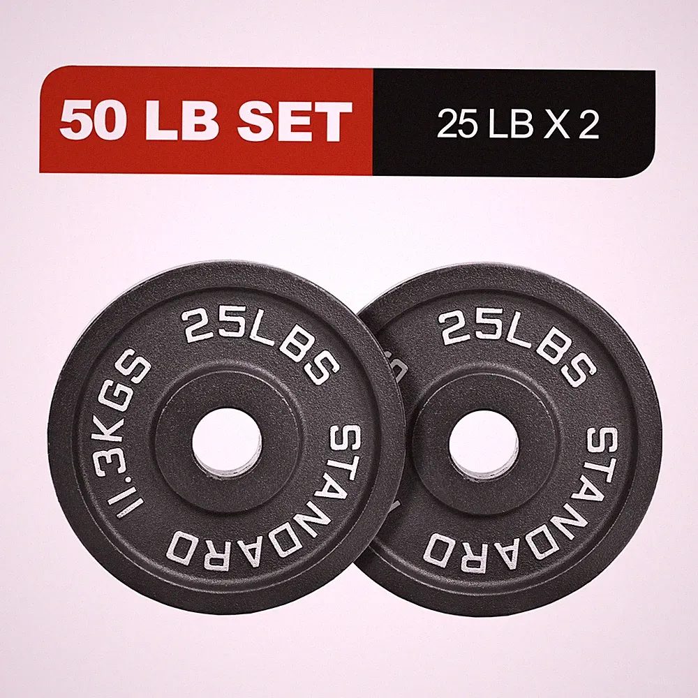 Cast Iron Weight Plates, 2-Inch Hole, 2-Pack or 4-Pack Options (2.5LB–45LB), Bla