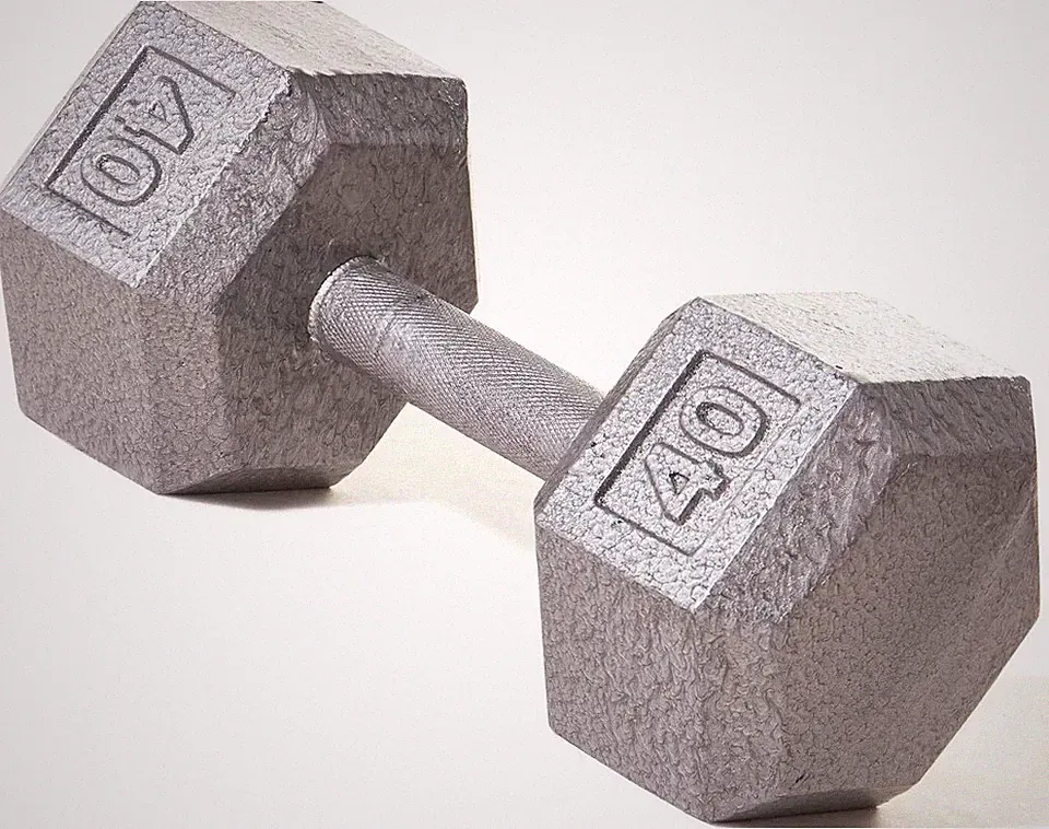 Champion Barbell Solid Cast Iron Hex Dumbbells No-Roll Head
