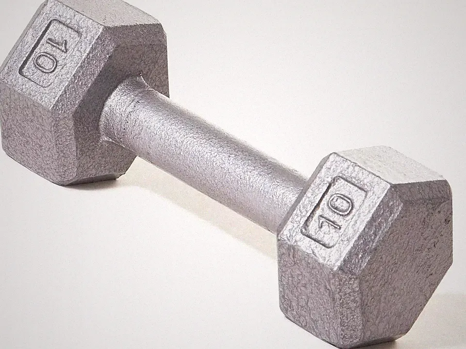 Champion Barbell Solid Cast Iron Hex Dumbbells No-Roll Head