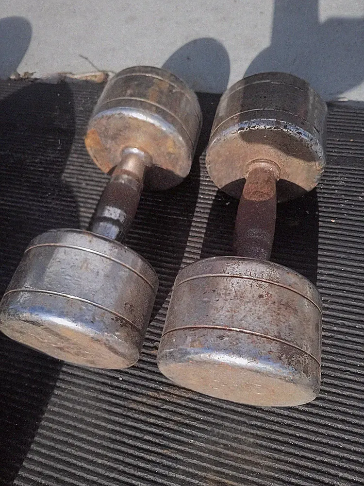 Chrome Dumbbell Set 30 Pounds