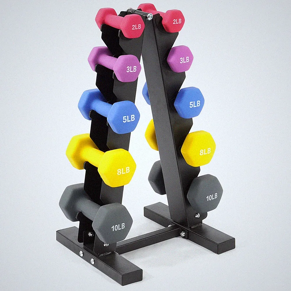 Colorful Neoprene Dumbbell Set with Stand, 2lb 3lb 5lb 8lb 10lb Hand Weights for
