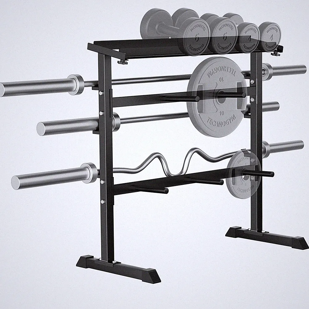 Compact Dumbbell Rack Stand Barbell Rack: Weight rack for Dumbbells, Olympic...