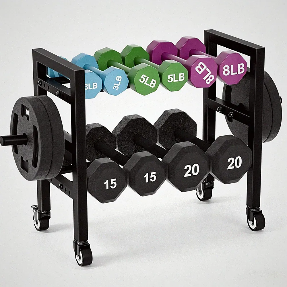 Dumbbell Rack Stand Only 2-Tier 20 IN Length Adjustable Small Weight Rack For...