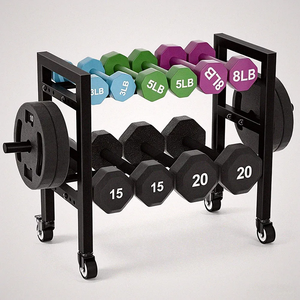 Dumbbell Rack Stand Only 2-Tier 20 IN Length Adjustable Small Weight Rack For...