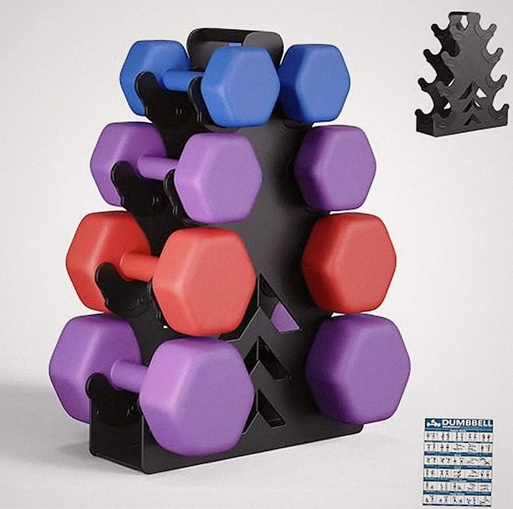 Dumbbell Rack, Stand Only, No Install Needed Small Weight Rack with Dumbbell...