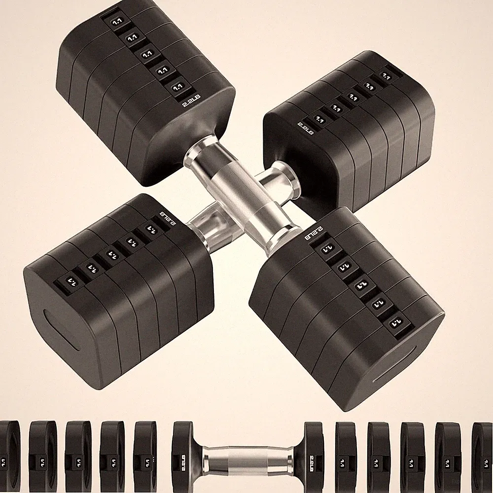 Dumbbell Set 30.8LB Adjustable Free Weights 6 Plates Home