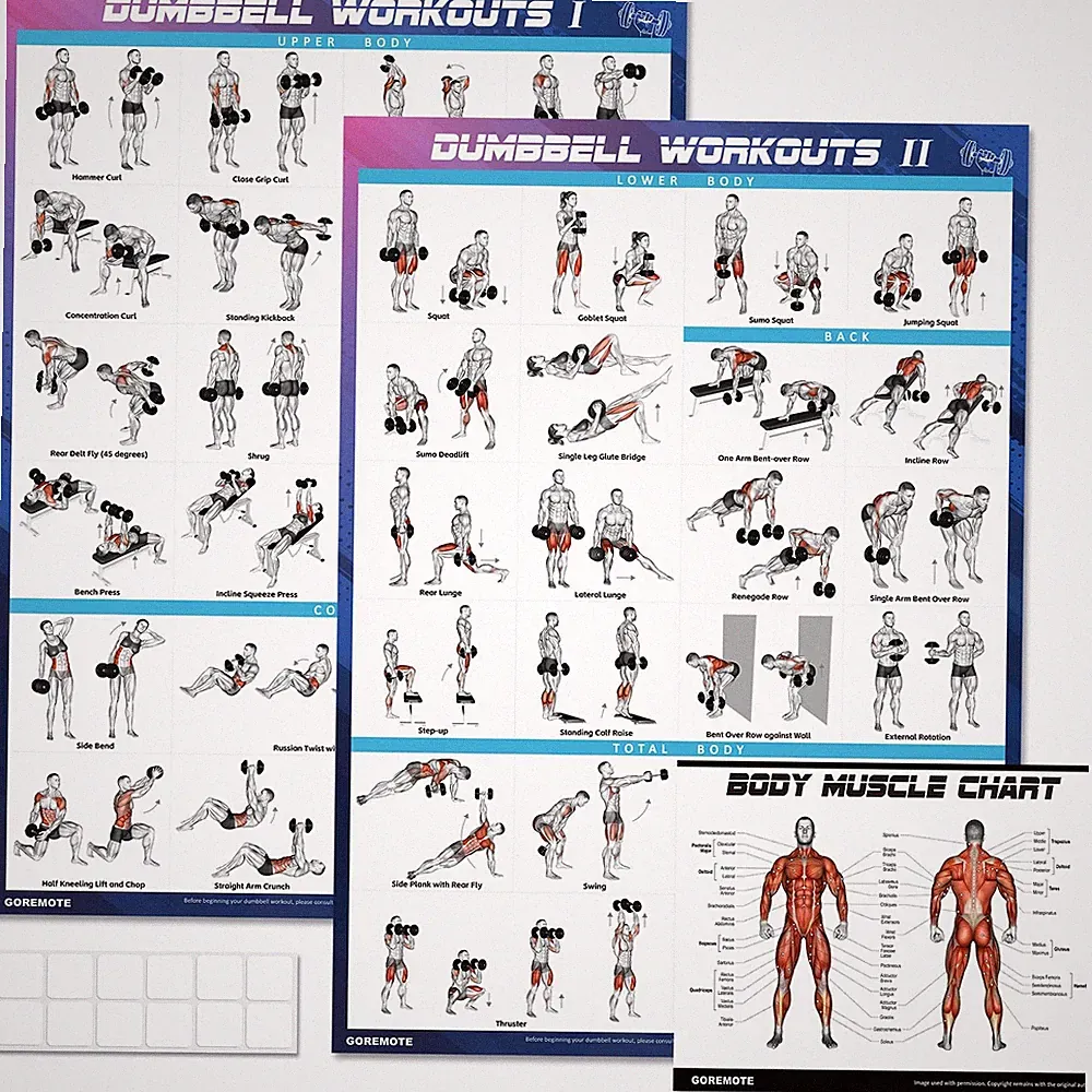 Dumbbell Workout Poster 2 Pack Vol 1 2 Home Gym Exercise Chart 18x24 Fitness DIY