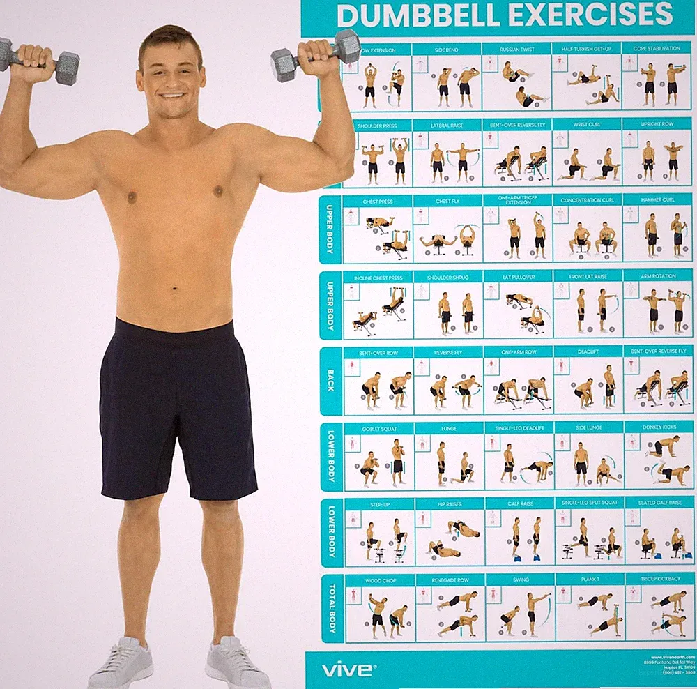 Dumbbell Workout Poster - Home Gym Exercise for Upper, Lower, Full Body - Lamina