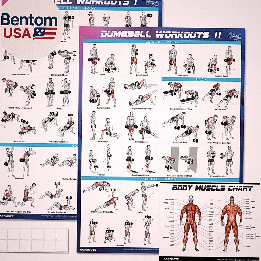 Dumbbell Workout Poster Set 2 Pack 44 Exercises Home Gym Charts 18x24 Waterproof