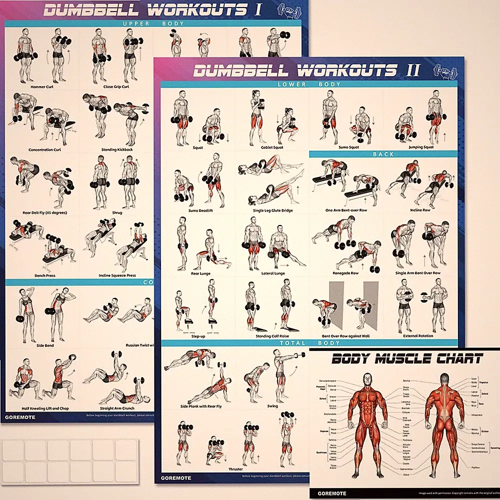 Dumbbell Workout Poster Set (2 Pack) - Charts for Home Gym, Purple