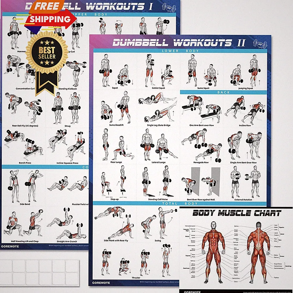 Dumbbell Workout Poster Set (2 Pack) - Posters 18x24 inches, Purple