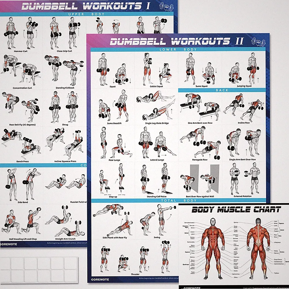 Dumbbell Workout Poster Set (2 Pack) - Workout Charts for Home Gym Volume I &
