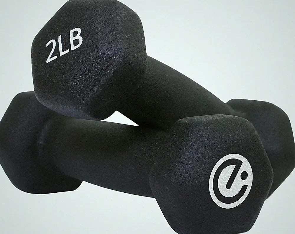 Dumbbells - 2 Lb. Weight Set, Black (ECHDB-2)