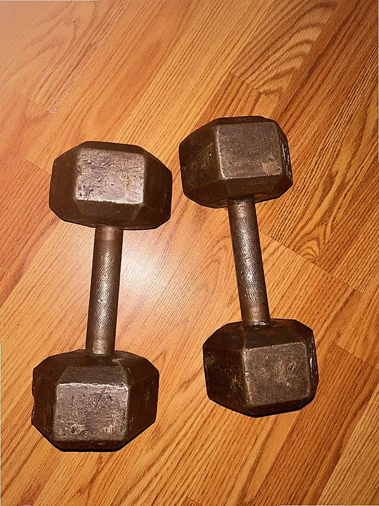 Dumbbells 20 Pounds Each