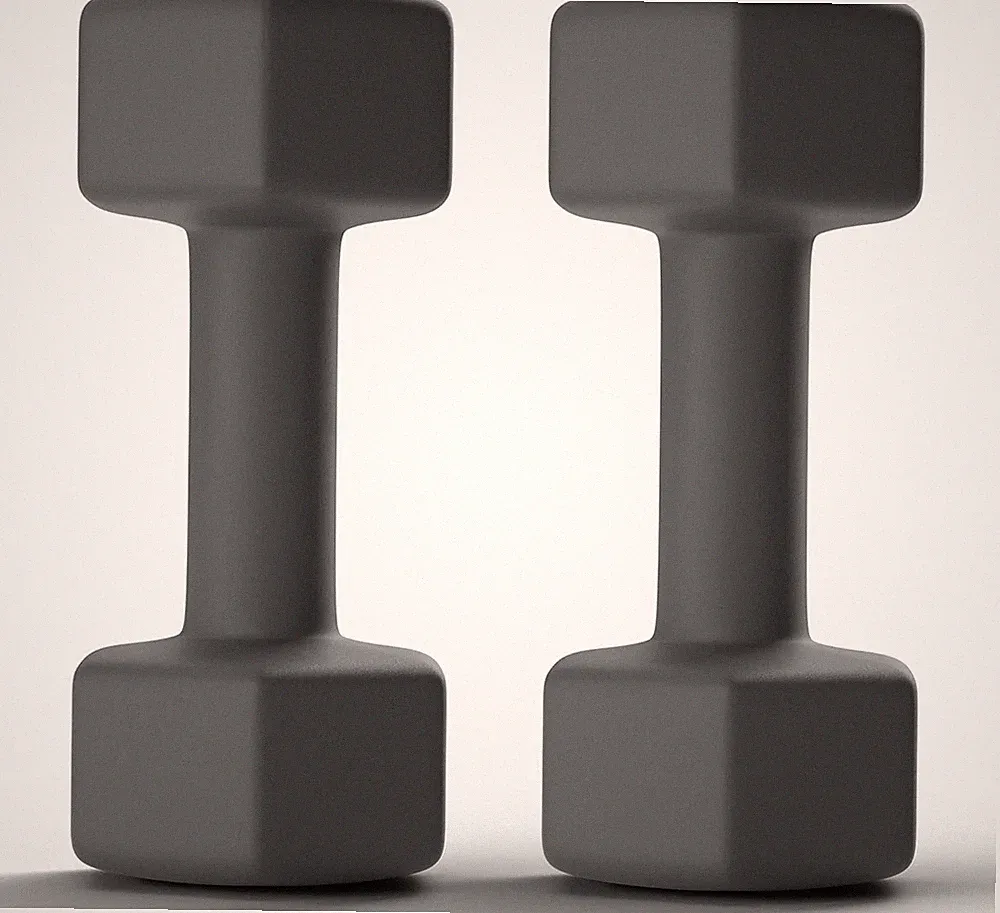 Dumbbells Set Rubber Coated Hex Hand Weights Exercise & Fitness for Home Gym