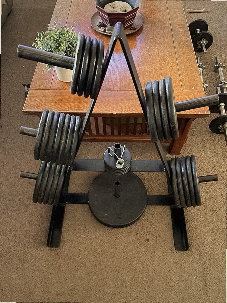 EZ Curl Bar Set w/ Dumbbell Bars, Weight Plates & Collars, Silver/Black
