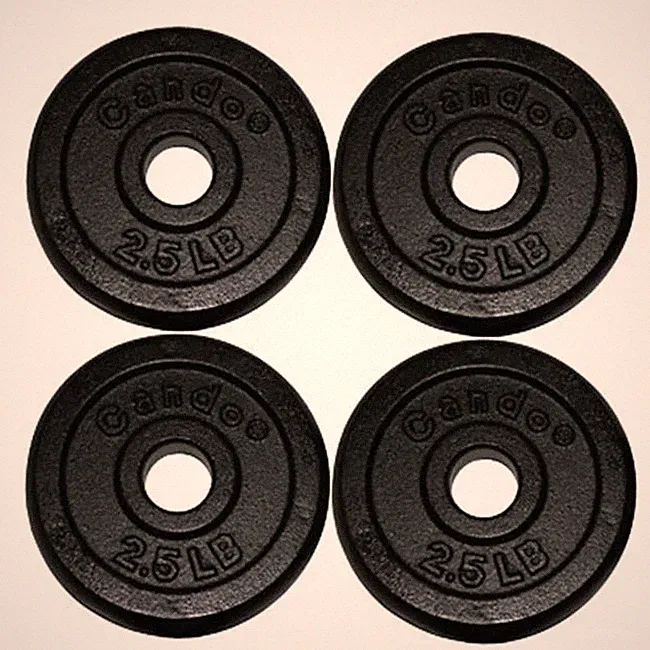 Fabrication Enterprises 10-0601-4 Iron Disc Weight Plates - 0 lbs Set