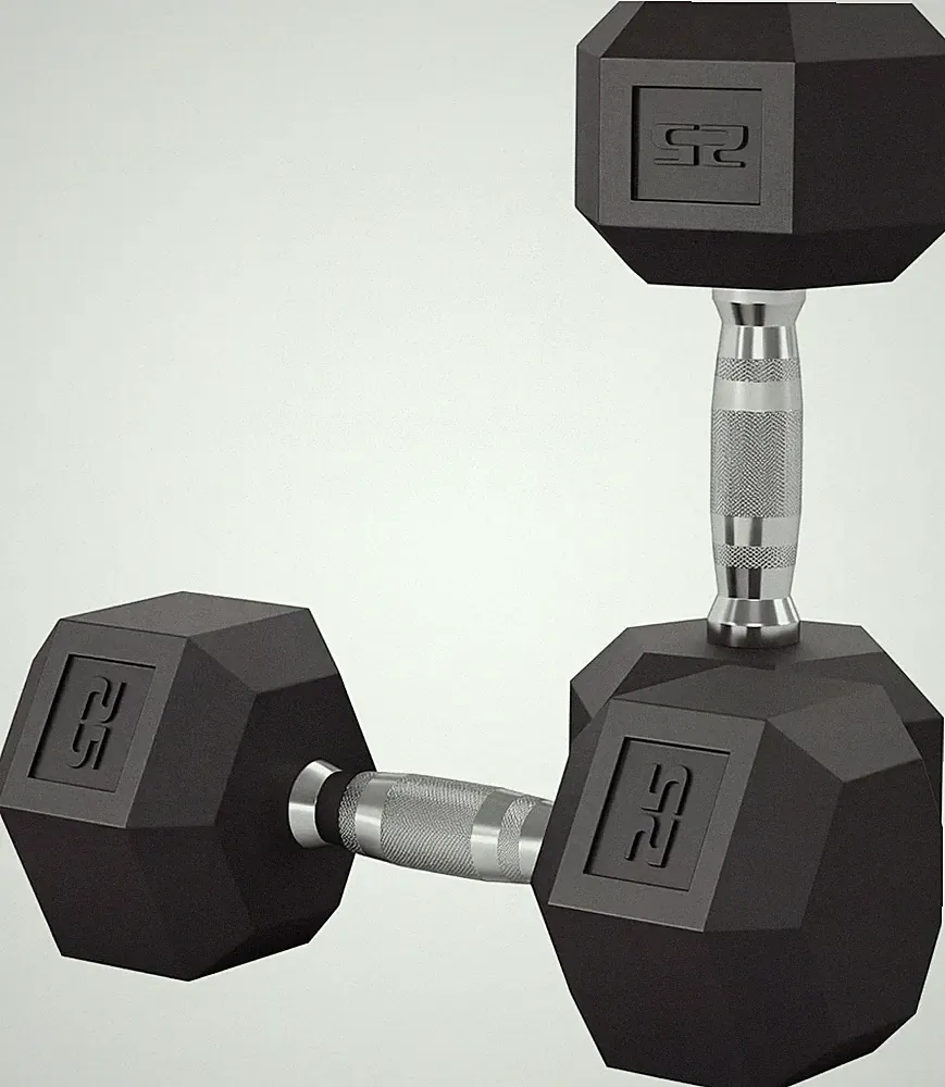 Fitness Hex Dumbbells Workout Equipment Set of 2, 25 LB Weight Pair for Home Gym
