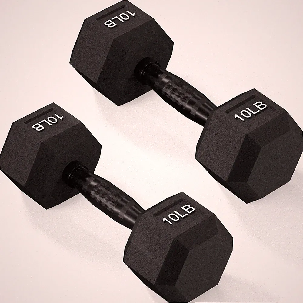 exercise & fitness dumbbells